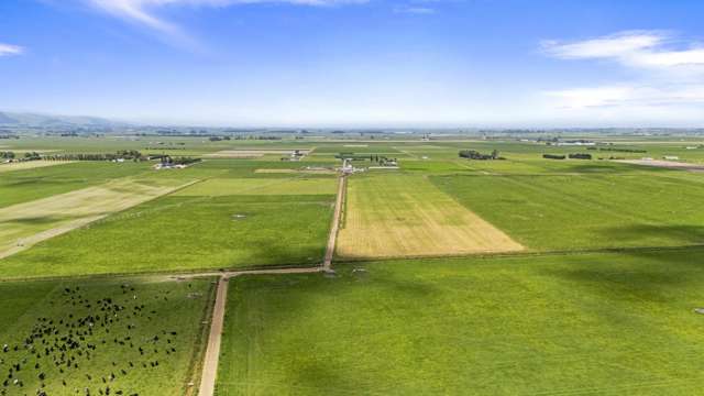 145 Campbells Road Opiki_4