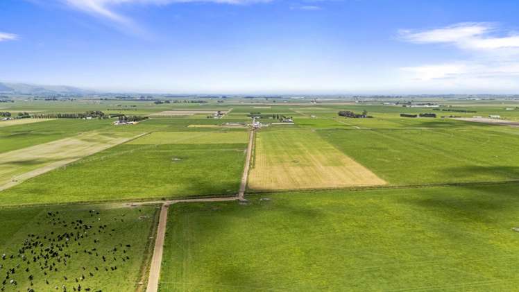 145 Campbells Road Opiki_4