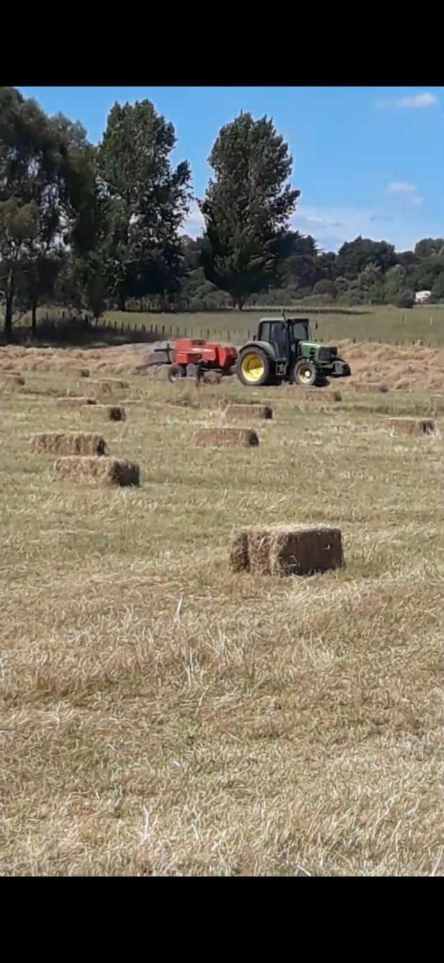 105 Willis Road Ngahinapouri_3