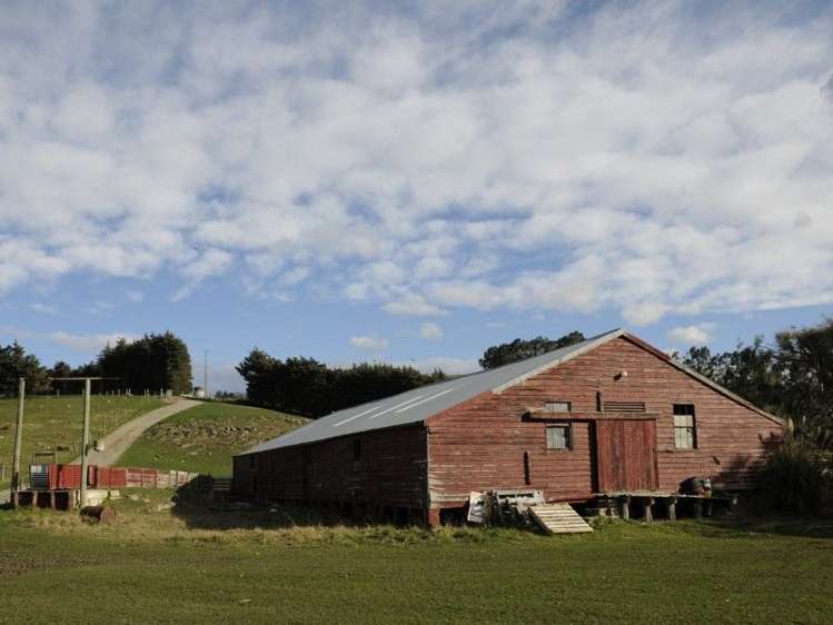 649 Kauru Hill Road Five Forks and Surrounds_51