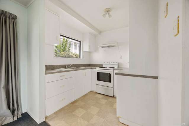 2a Nukumea Common Orewa_4