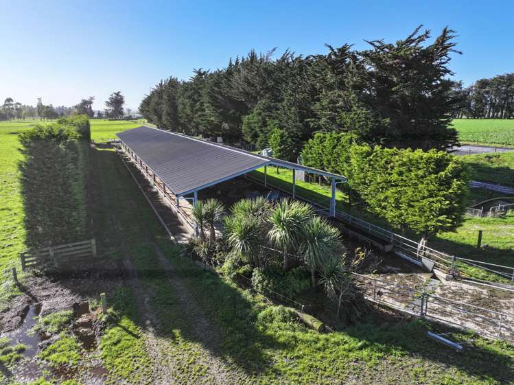 61 Donald Road Edendale_8
