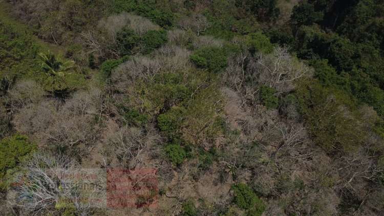 Address withheld Savusavu_10
