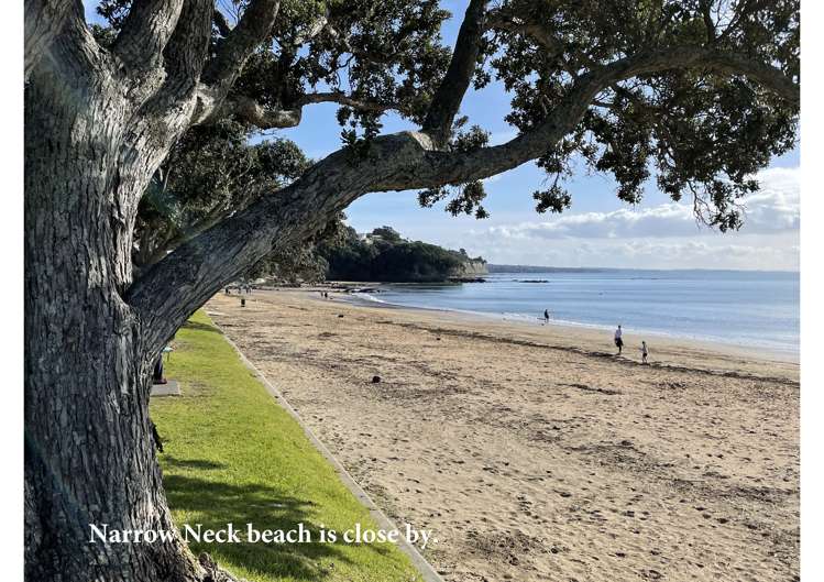 14 North Avenue Narrow Neck_18