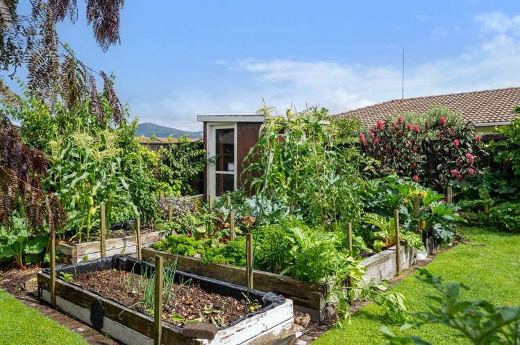 31a Tilsley Street Glenholme_13