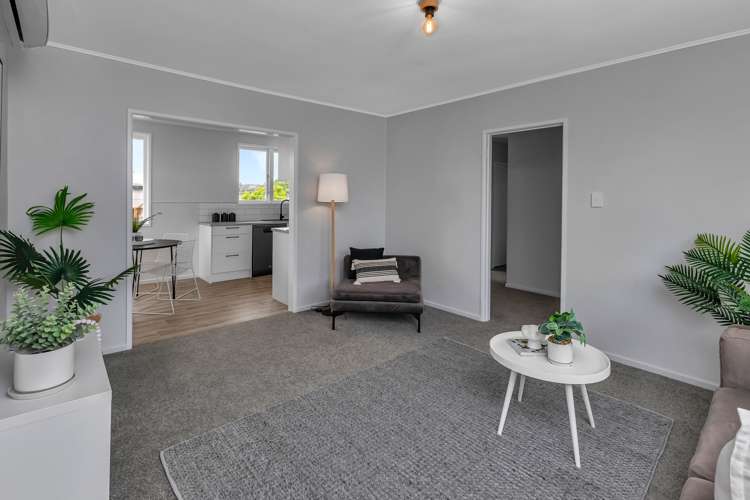 13 Wilson Avenue Avenues_7