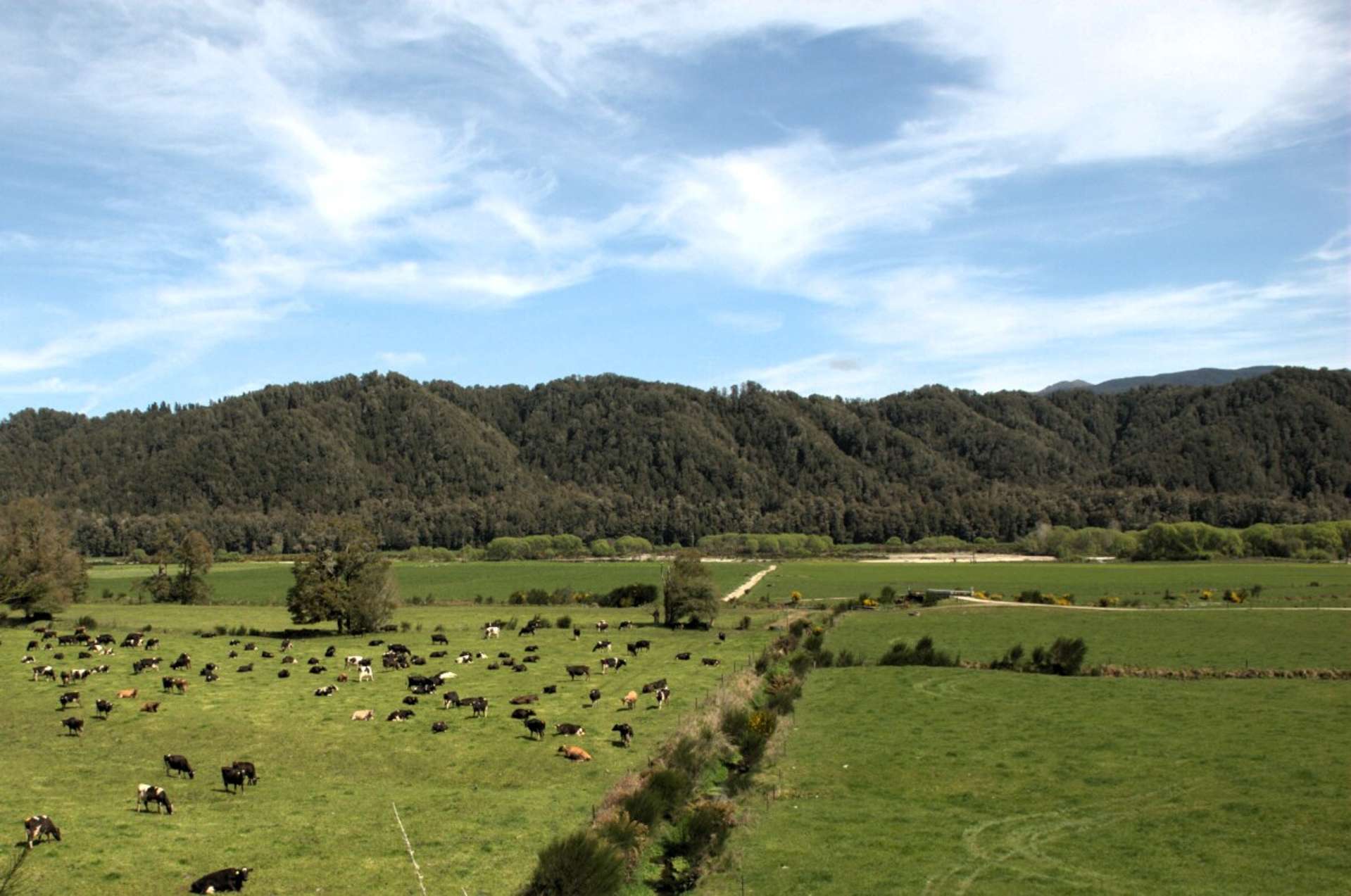 321 State Highway 69, Reefton Reefton Buller Rural Property For