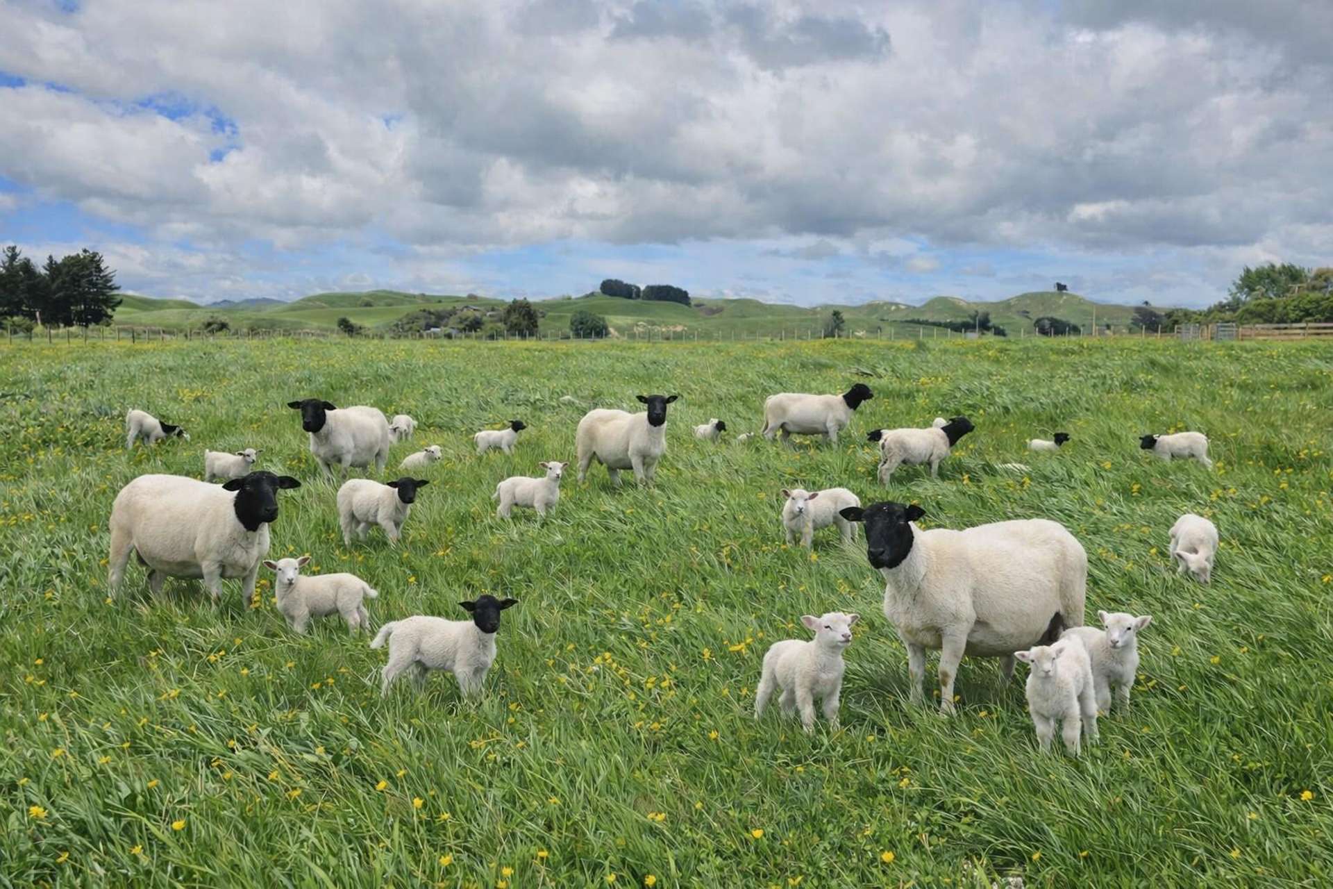 56 Oparatai Road Pahiatua_0