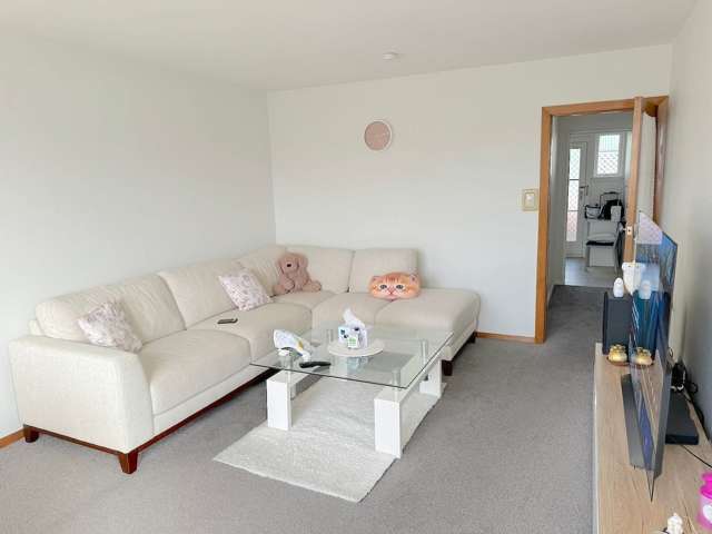 2/47 Elizabeth Street Riccarton_1