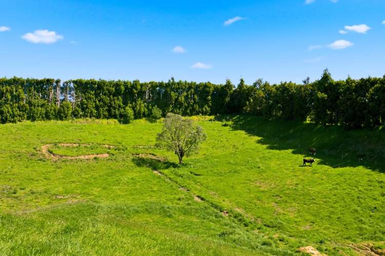 374 Youngson Road Whakamarama_21