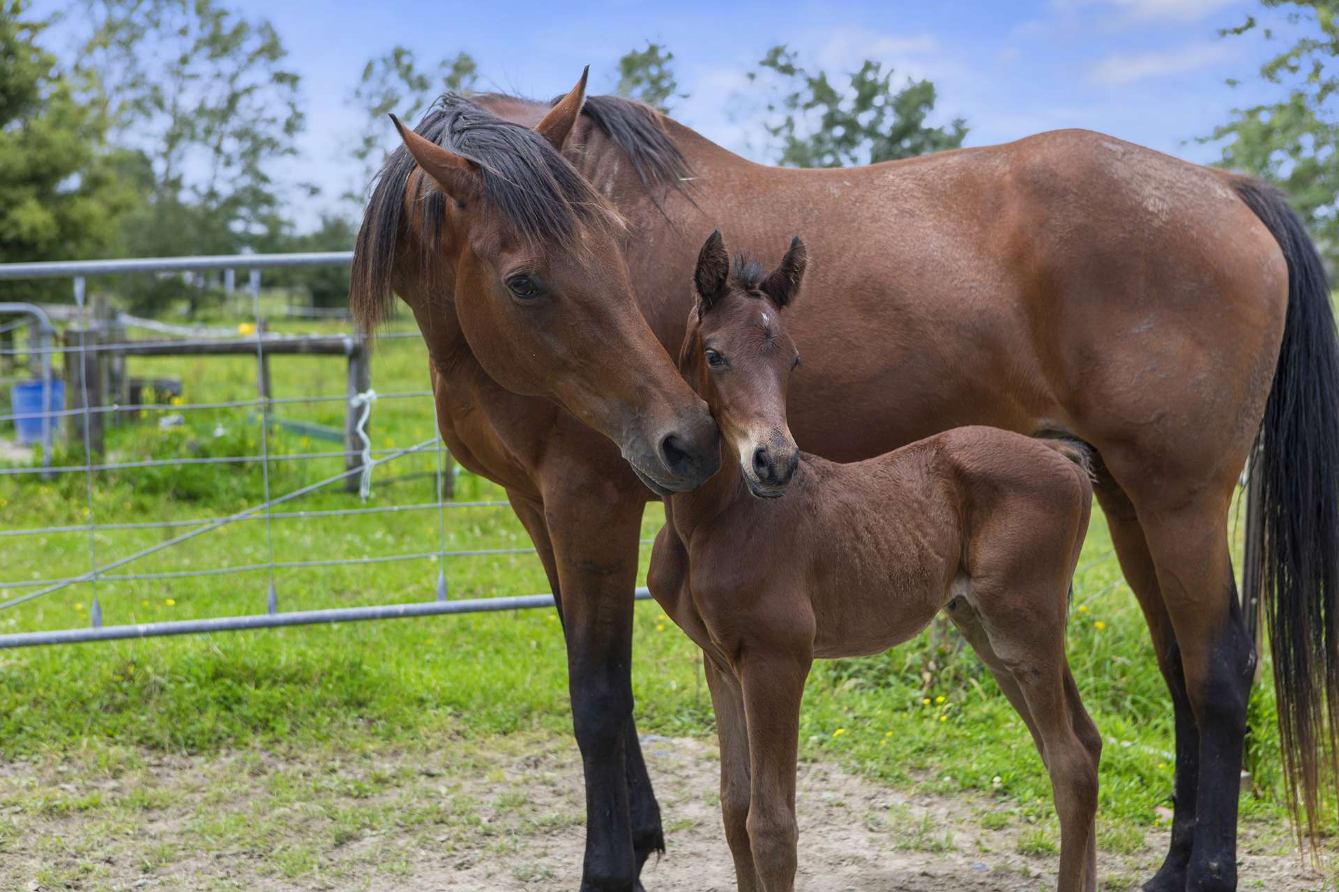 138a Mccabe Road Te Aroha_0