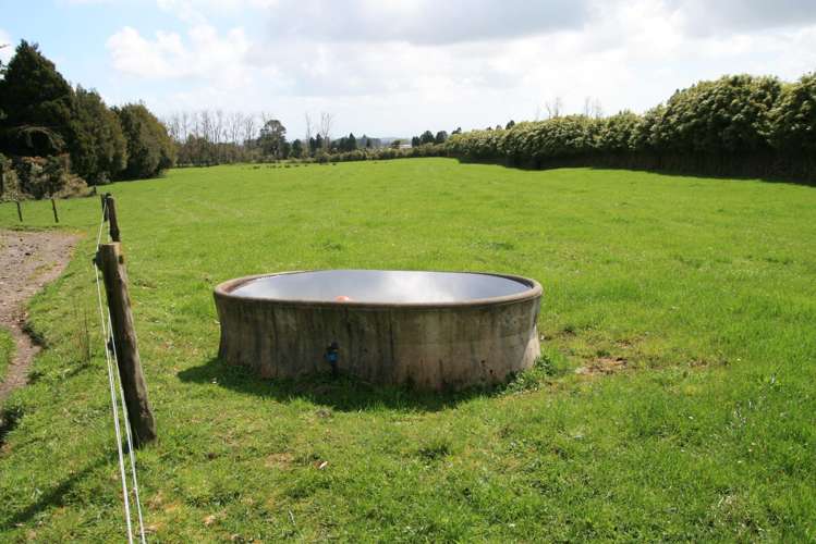 1996 Egmont Road Inglewood_8