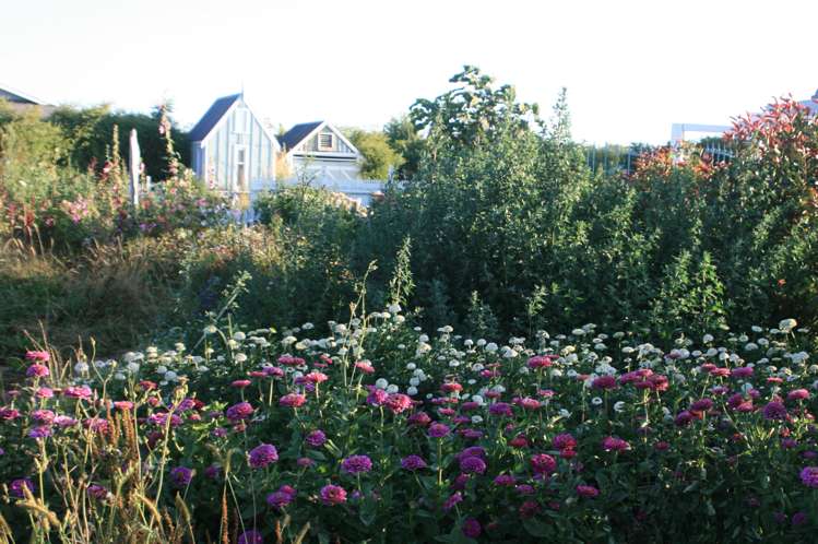 1024 Alexandra Road Manawaru_16