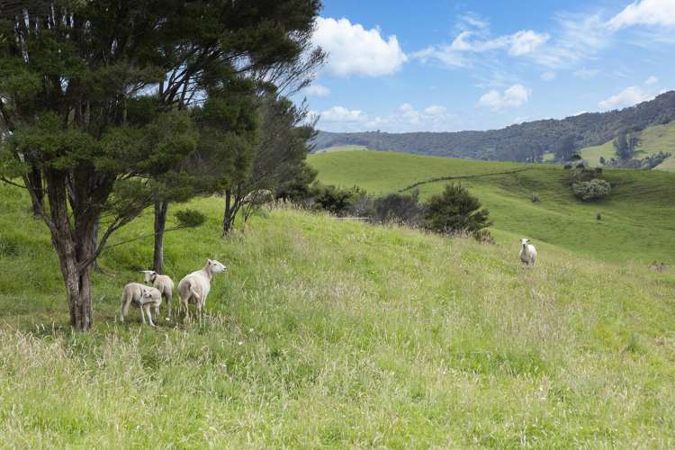 1214 Oruru Road Peria_28