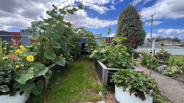 54 Chaucer Street Milton_21