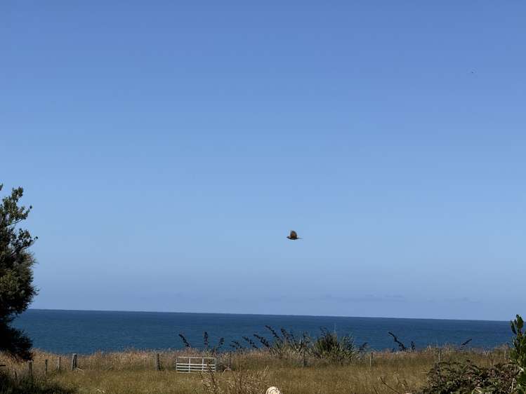 210 Jacks Bay Road Hinahina_33