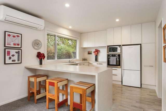 66B Hounslow Street Ilam_1