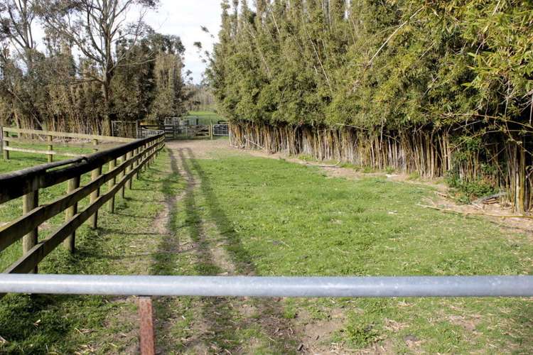 187 Katavich Road Awanui_19