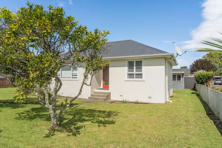 44 Sixteenth Avenue Tauranga South_8