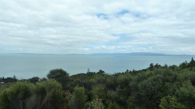 45 Otuturu Crescent Thames_3