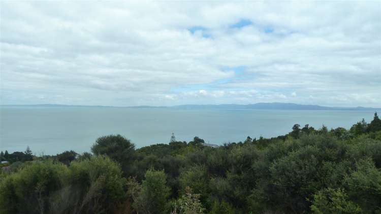 45 Otuturu Crescent Thames_3