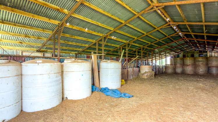 264 Matatoki Road Matatoki_16