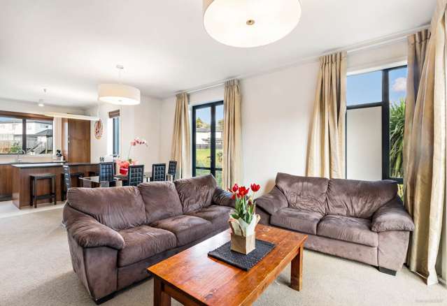 297 Murphys Road Flat Bush_1