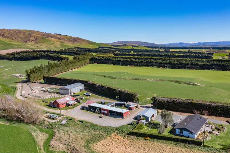 554 Waikari Valley Road Scargill_17