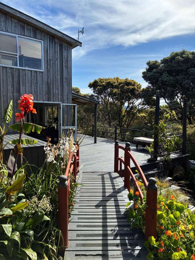 191 Hills Road Raglan_24