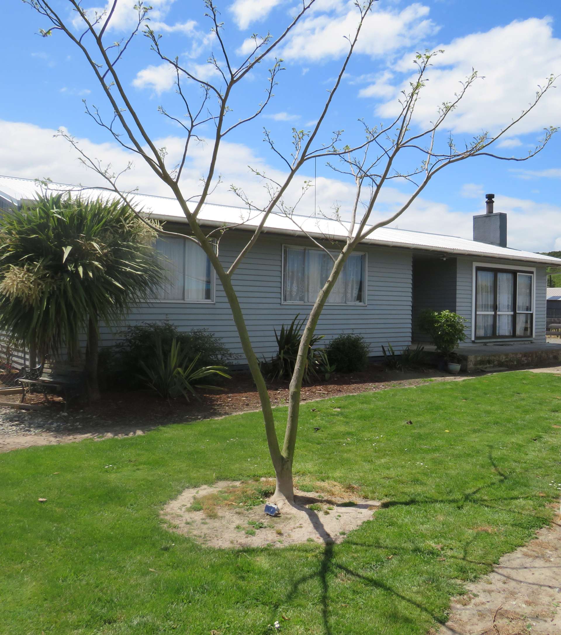 1 Sturdee Street Wairoa_0