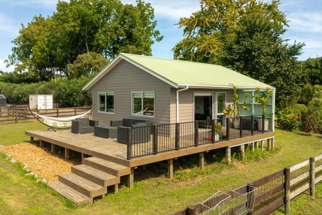 126 Willoughby Road Katikati_2