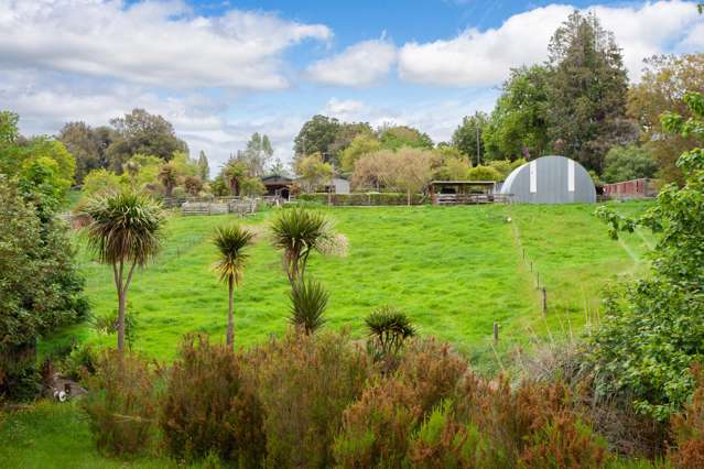 2075 Arapuni Road Pukeatua_3