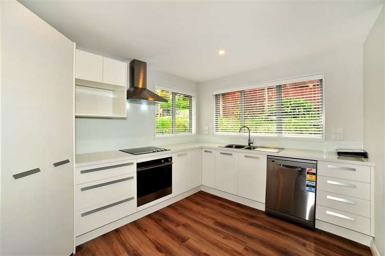 2/4 Wedgewood Avenue Cashmere_5