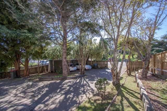 671 Richardson Road Mount Roskill_4