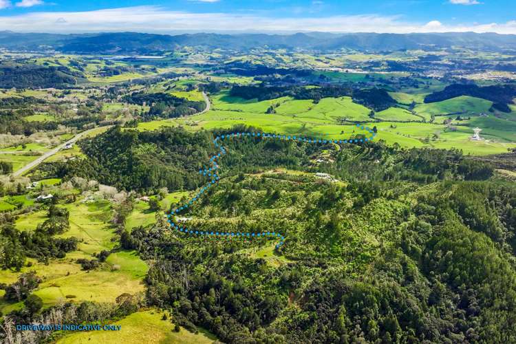 Lot 3 Radiata Road Warkworth_2