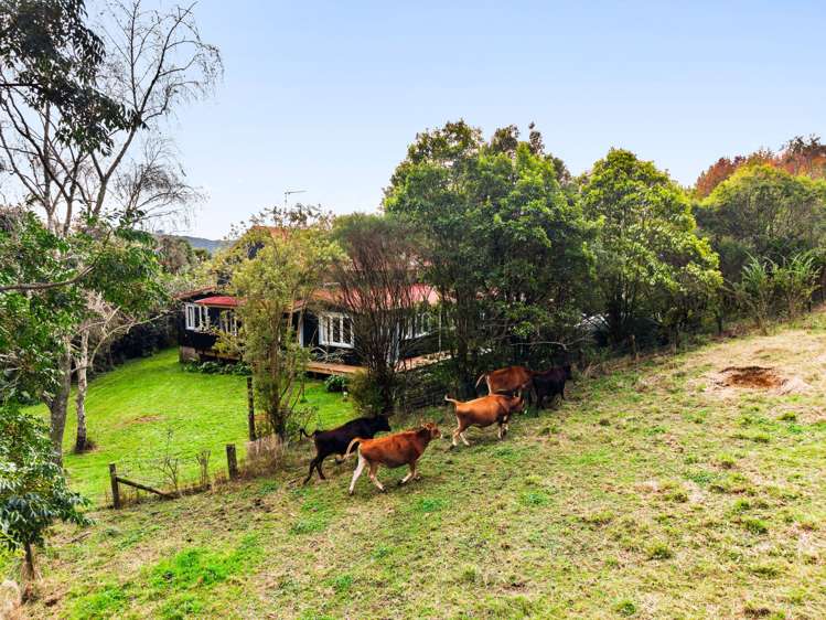 2/24 Clothier Road Waipa_31