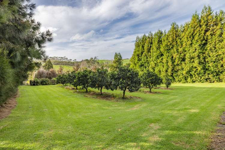 239 Stanners Road Kerikeri_19