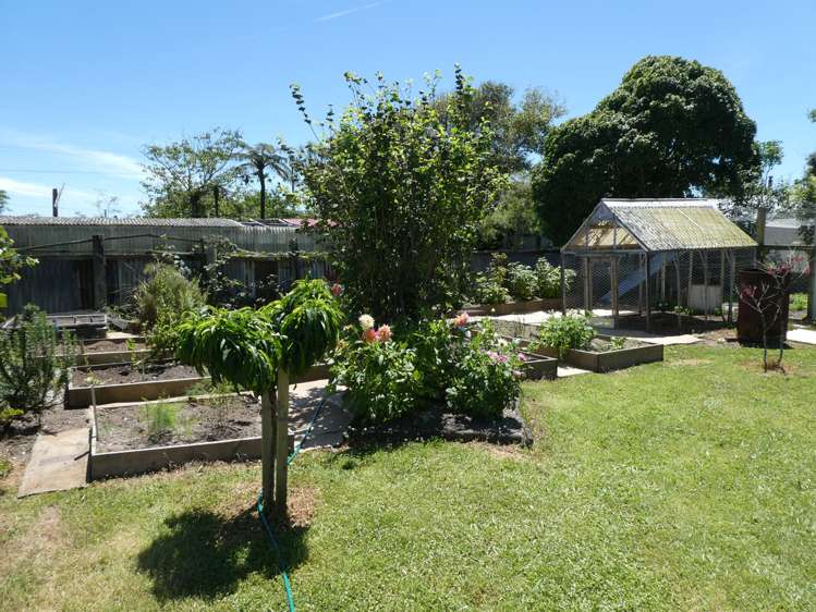 7 Greenfield Street Hector_15