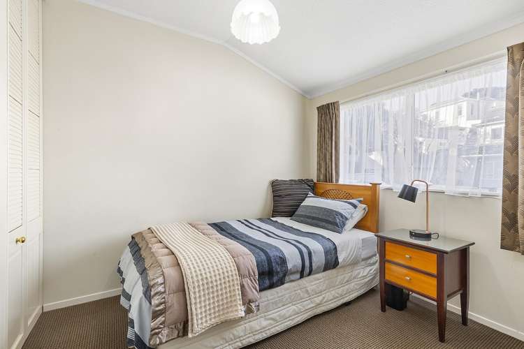 44b Roxburgh Street Mount Victoria_9