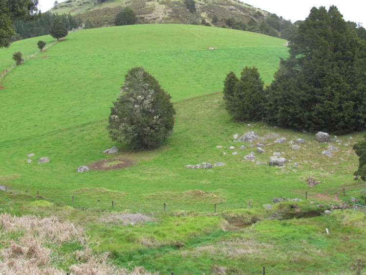 Tremain Road Ruatangata West_16