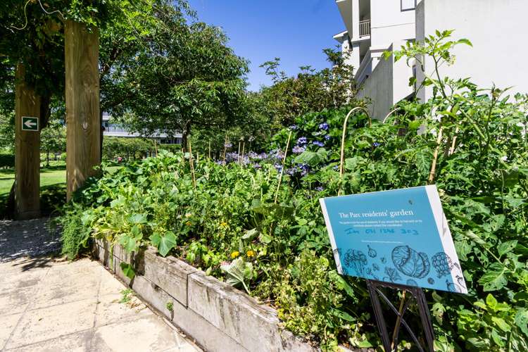 Gd/16 Market Place Auckland Central_17