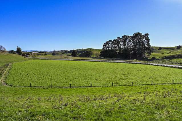 127 Bush Road Wallingford_4