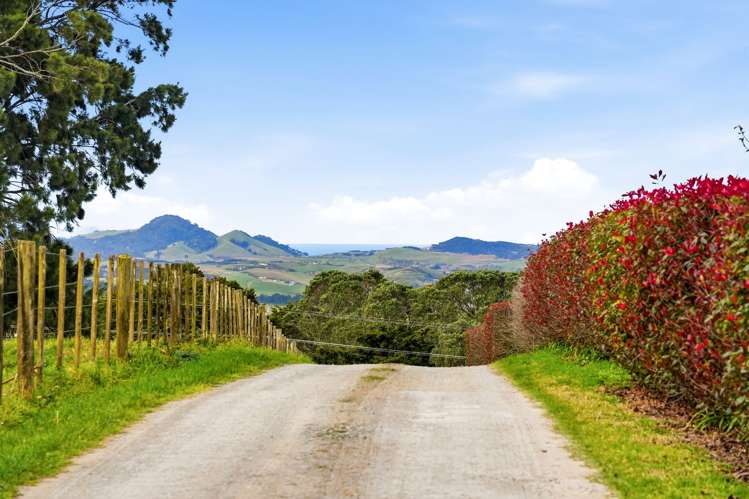 497A Tara Road Mangawhai_16