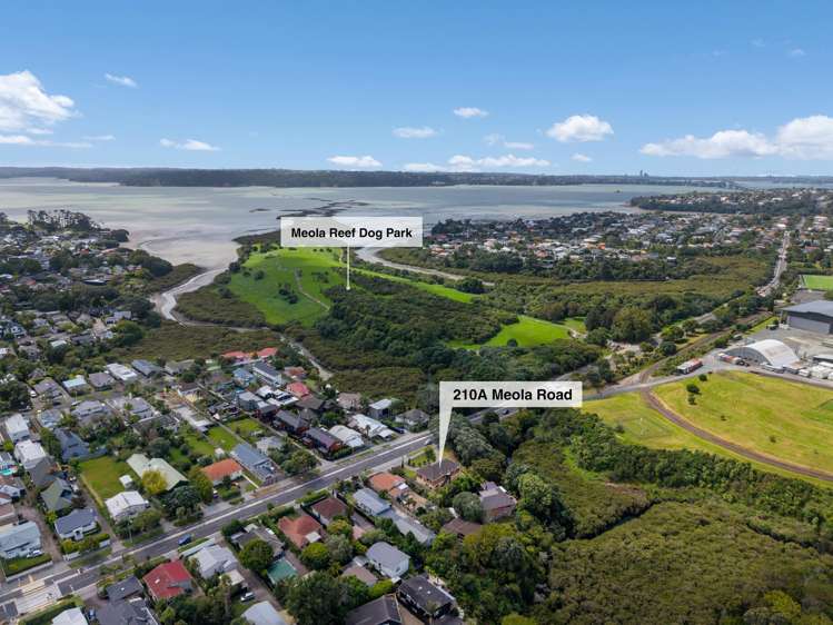 210A Meola Road Point Chevalier_26