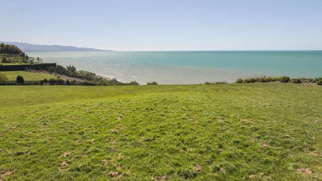 Tasman's Premium Coastal Lifestyle