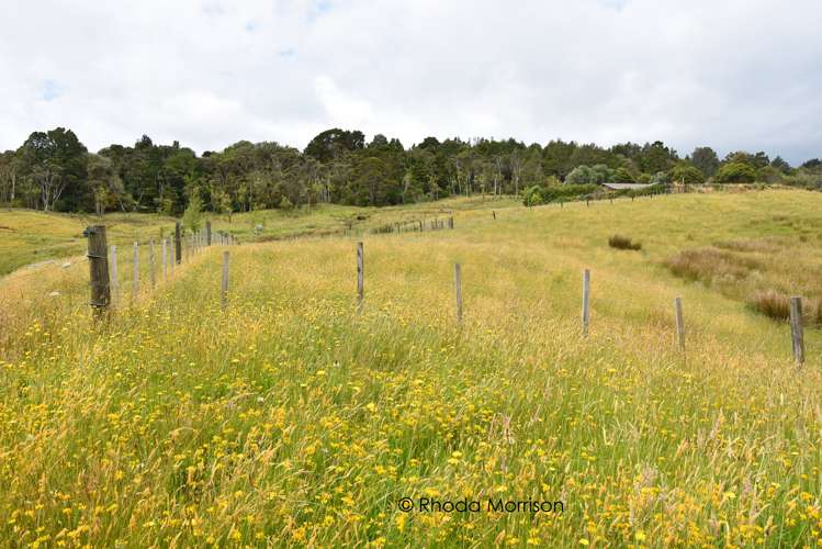 10 Te Pahi River Drive Paparoa_39