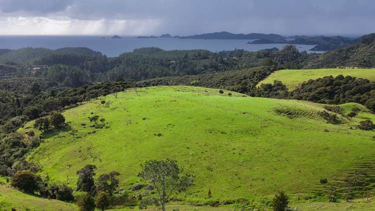 1070a Wainui Road_0