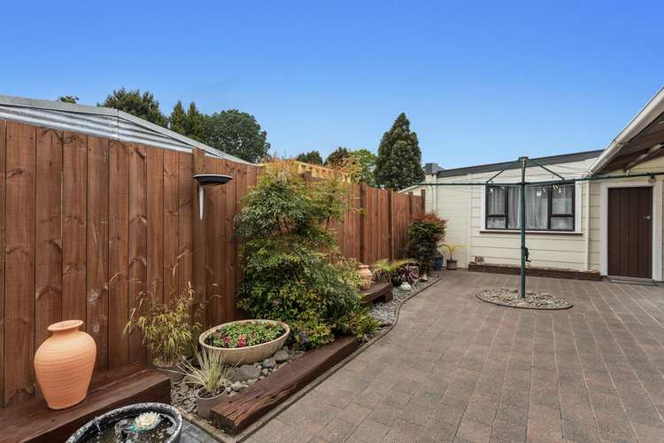 123 College Road Edgecumbe_14