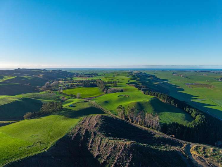 463 Dog Kennel Road Waimate_38