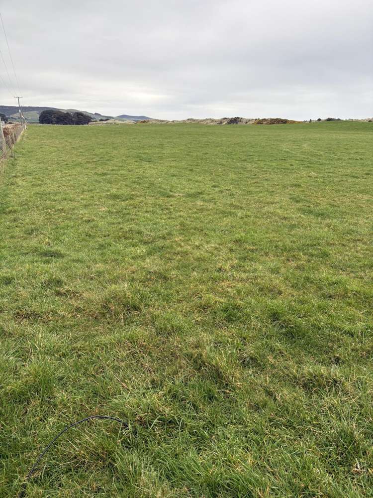 772 Orepuki-Riverton Highway Tihaka_6